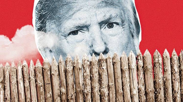    Коллаж: Тамара Ларина