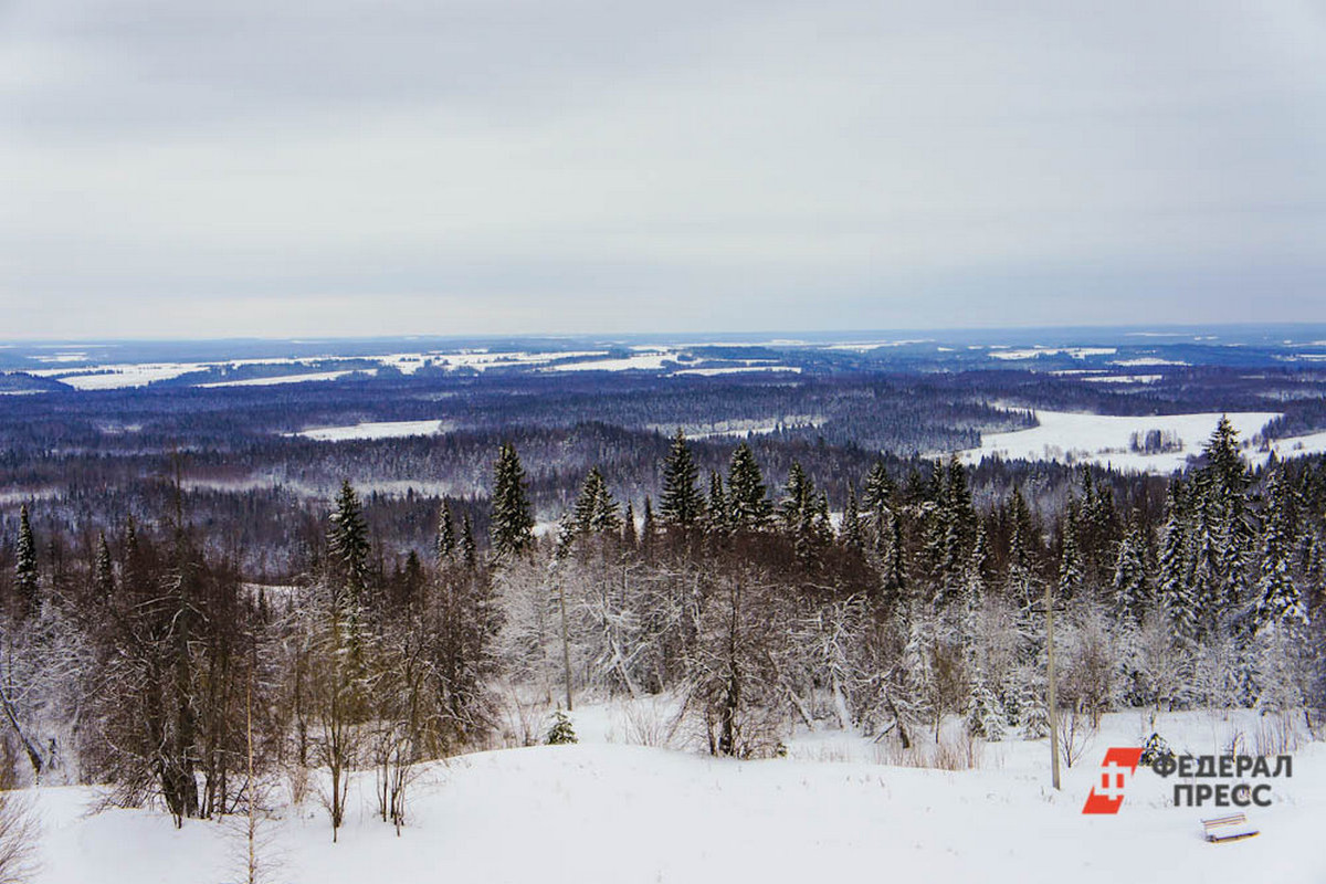 Мужчина решил пешком пройти 80 км до родного села и заблудился.  Фото: Фото: ФедералПресс / Елена Майорова