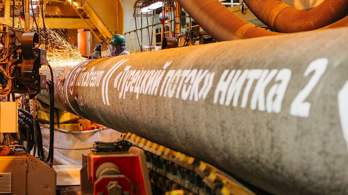 © Photo : Vladimir Solntsev 