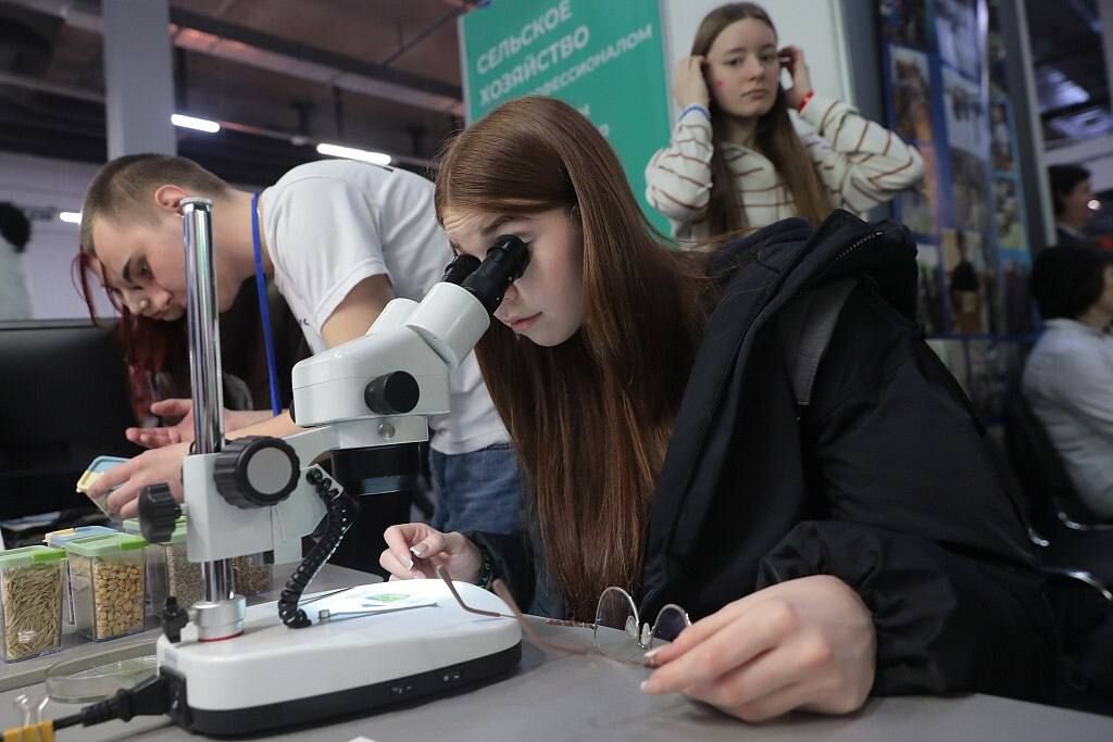     / Источник: ©Telegram/«Профессионалитет»