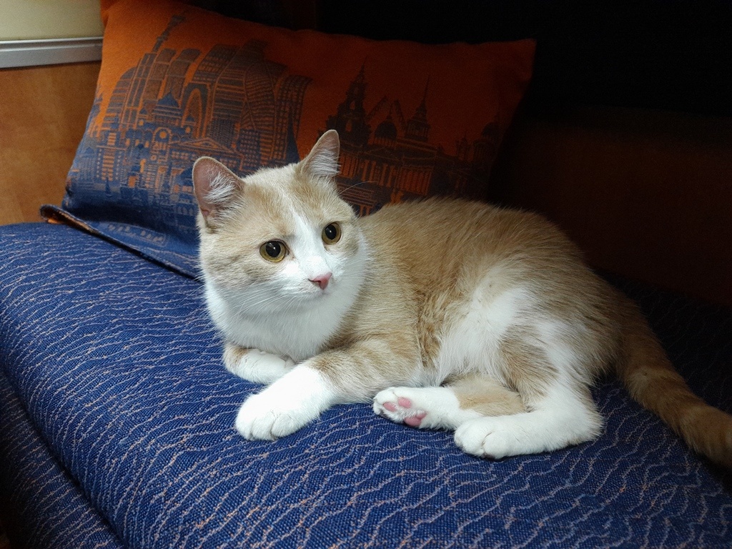 Фото из архива автора