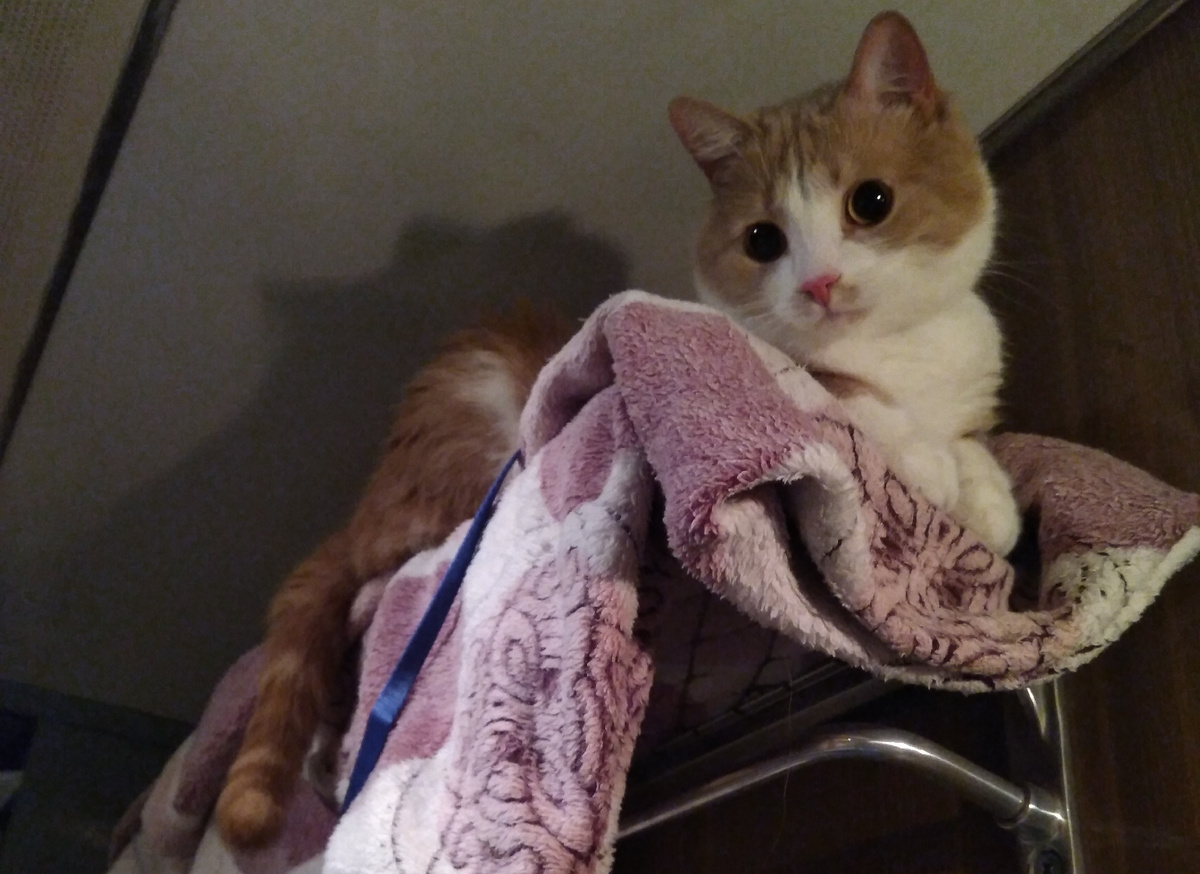 Фото из архива автора