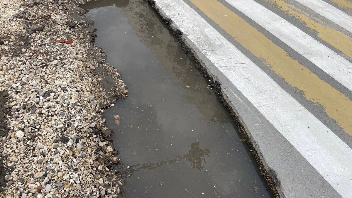     Автор: Антон Засимов Источник: novostivolgograda.ru