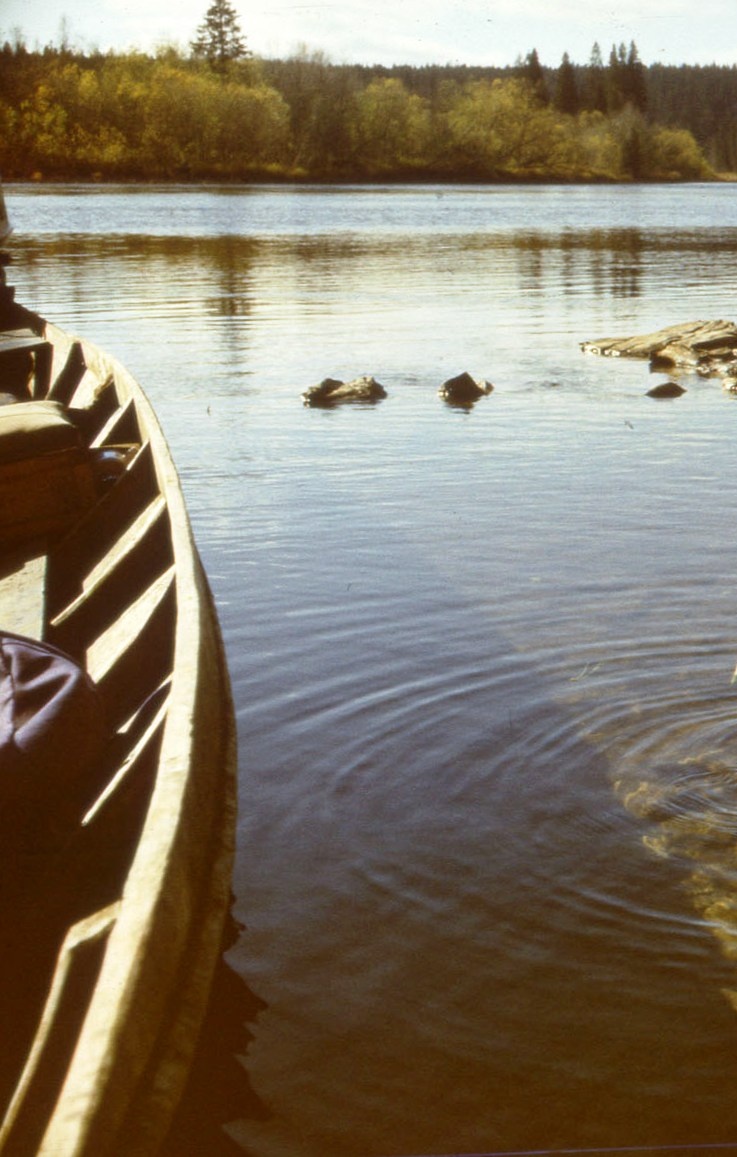 Еще немного - и это на всех северных реках 