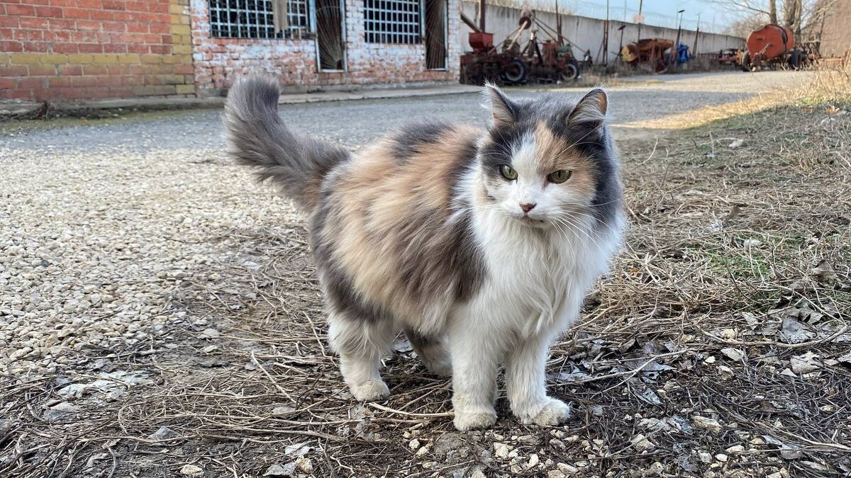 Фото из архива автора