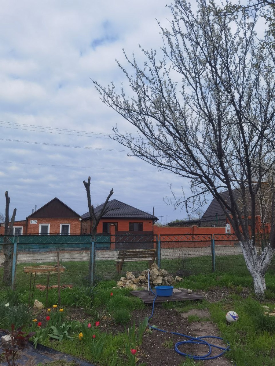 Вид из палисадника