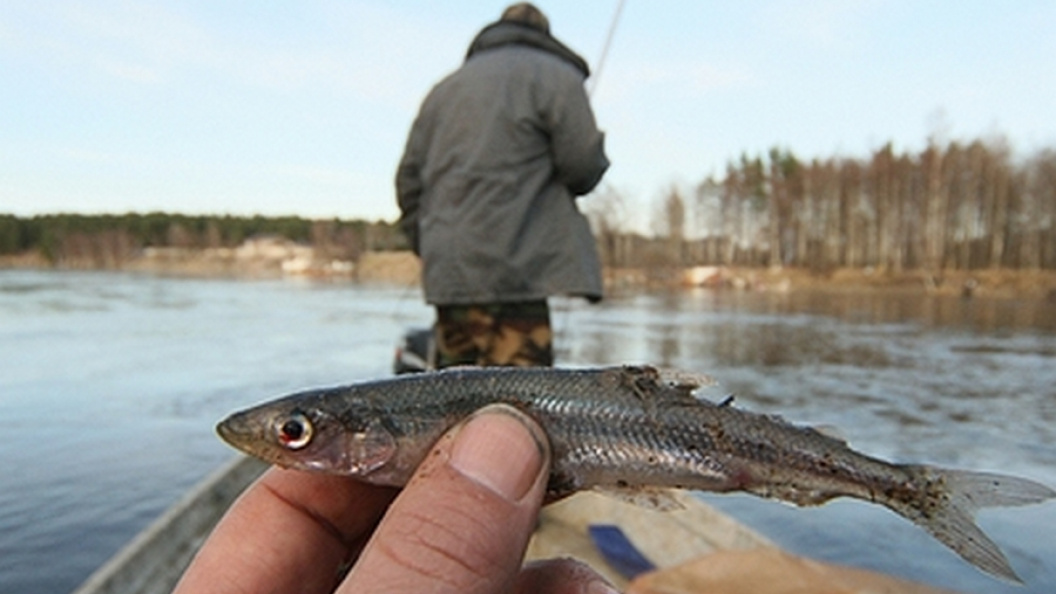    Фото: Zamir Usmanov/Globallookpress