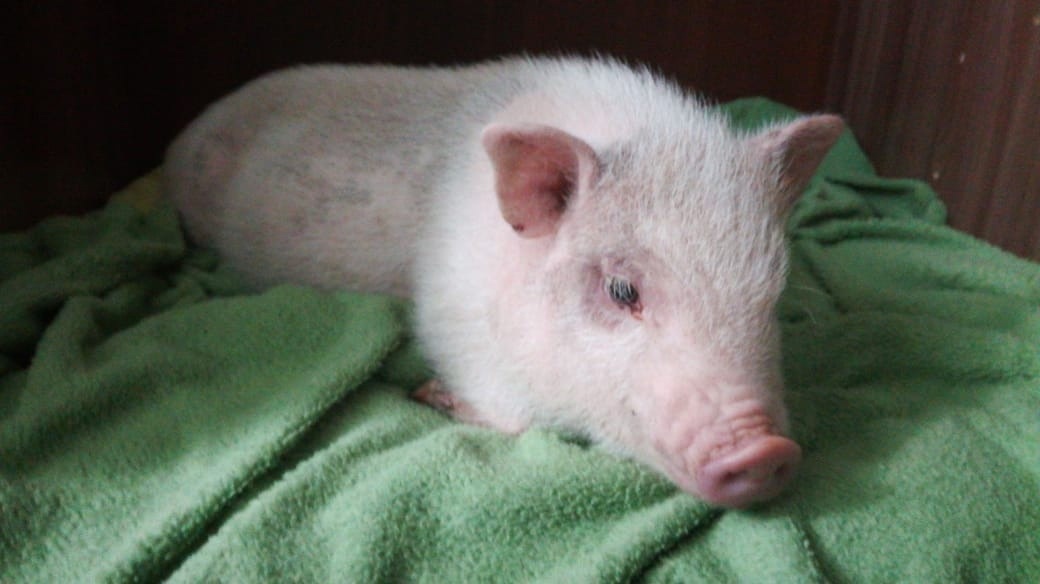 Джени 4 месяца