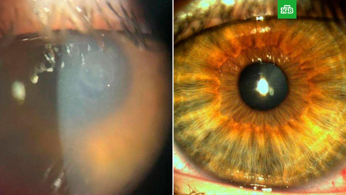    Фото: mz.mosreg.ru