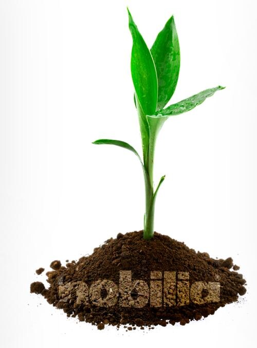 
Сертифицированная экологический менеджмент
С 2007 г. компания nobilia также успешно проходит сертификацию по бережному отношению к окружающей среде согласно стандарту ISO, который, прежде всего, ориентирован на защиту окружающей среды и экономию ресурсов.
