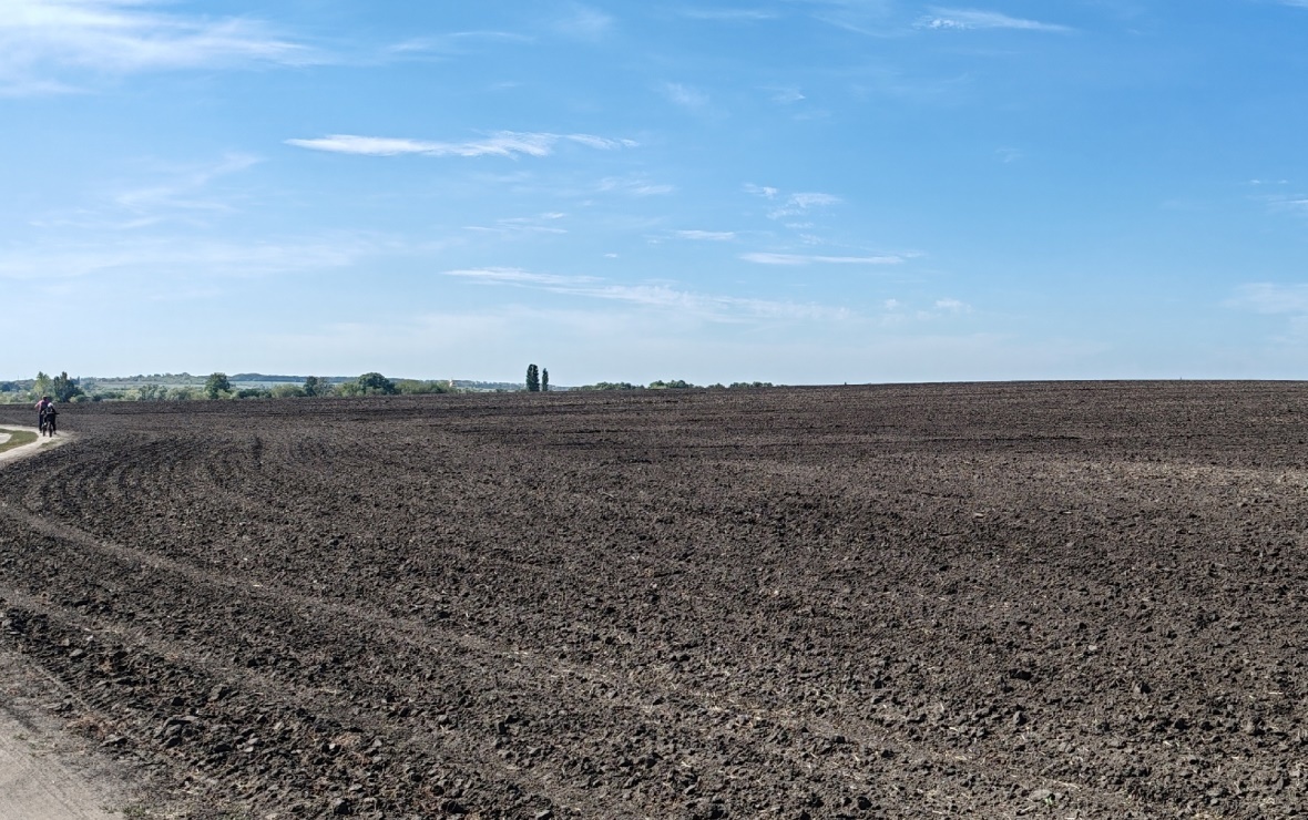 Фото: РБК Черноземье