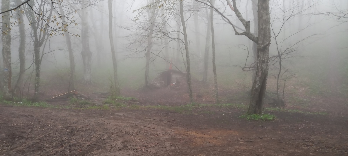 Партизанская стоянка