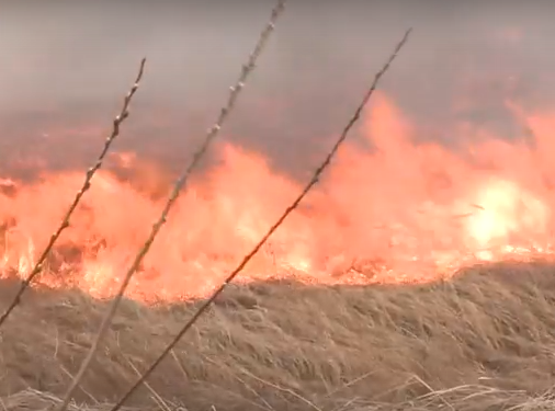     В деревне Песчанка прошёл противопожарный рейд