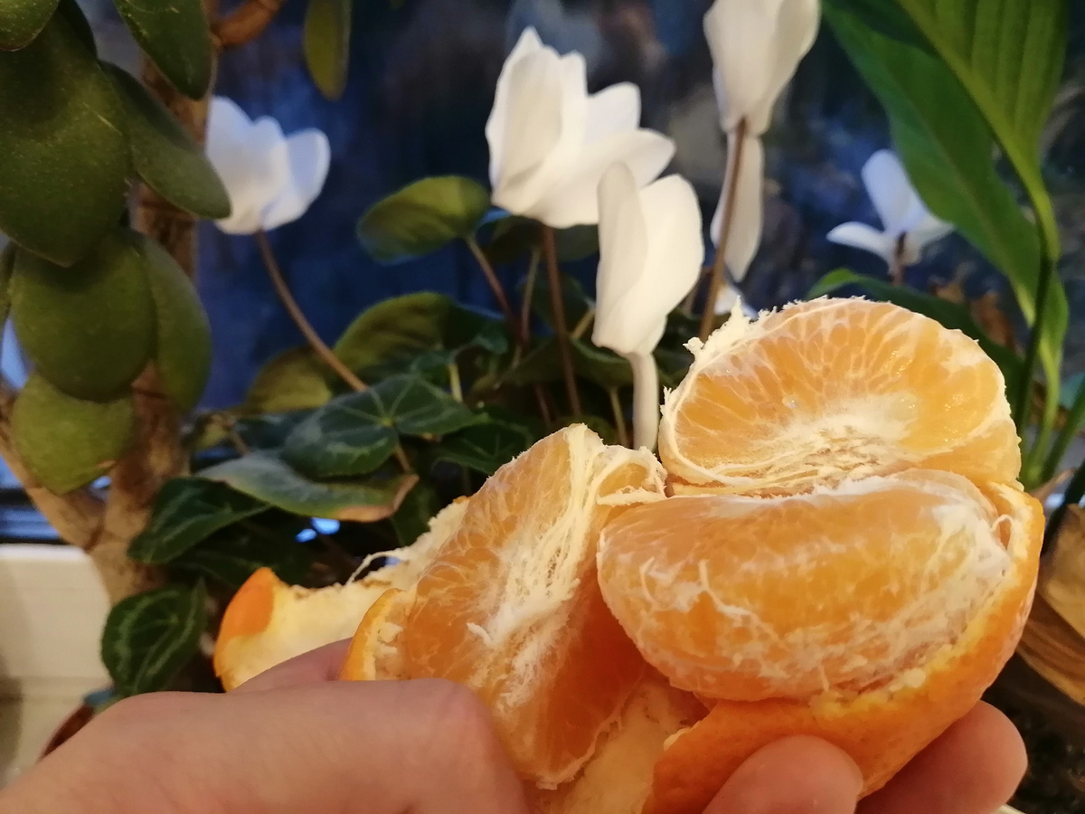 Мандарин. Для себя одной. Вот она радость в материнстве) так и запишем в дневник радостей)) 