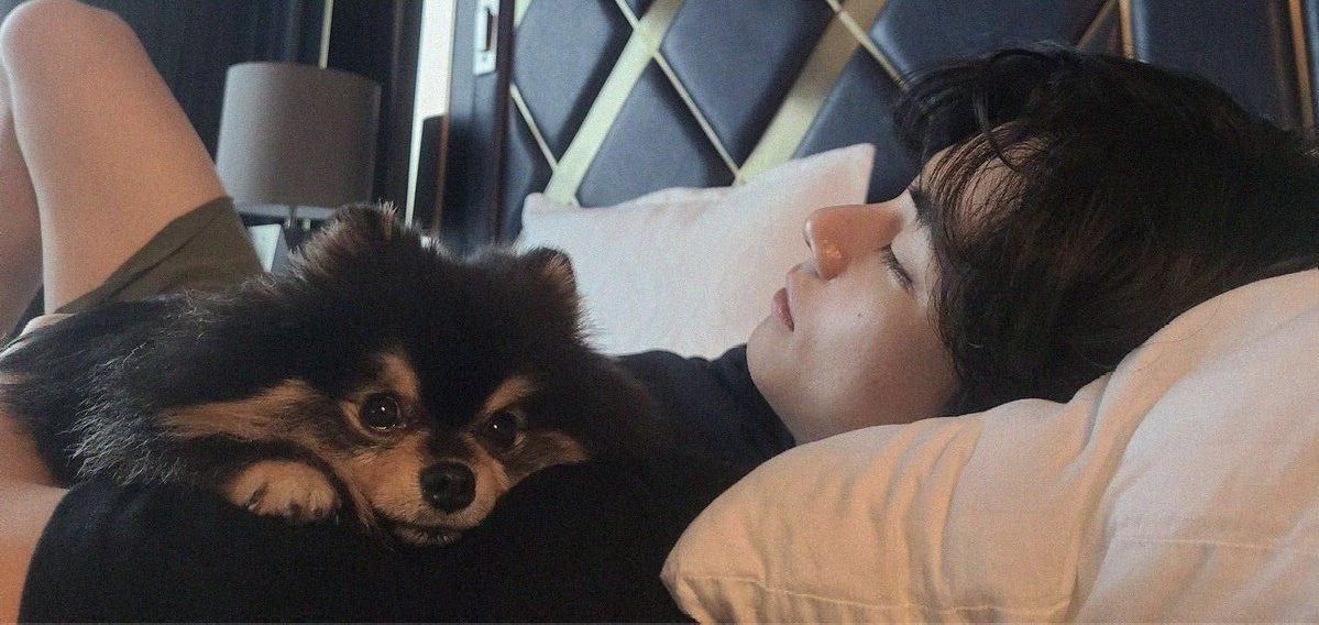 Из открытых источников. 