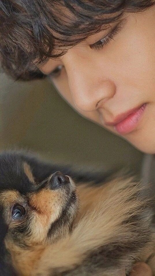 Из открытых источников