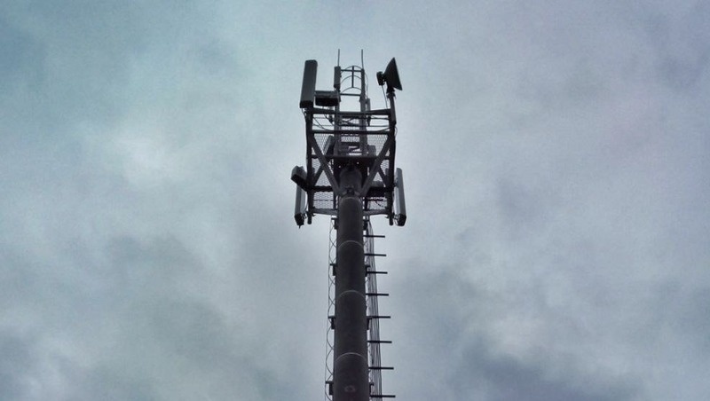      Фото: пресс-служба МТС