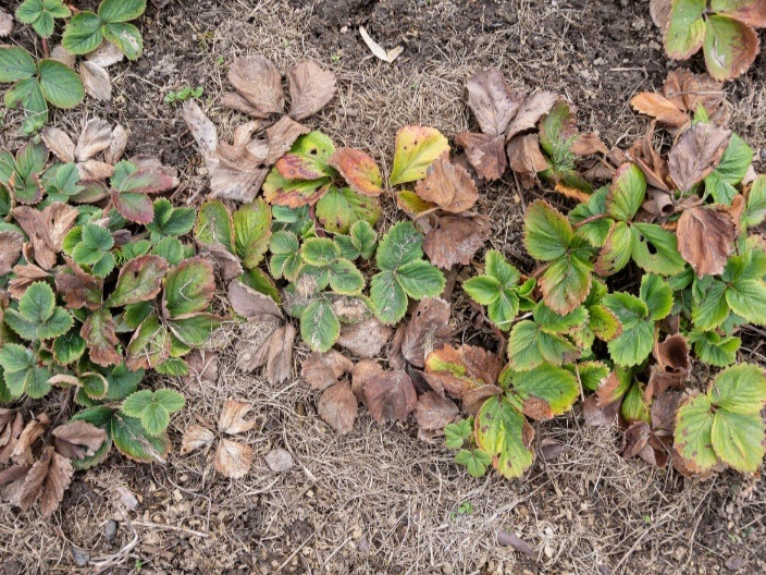 Фото: shutterstock.com