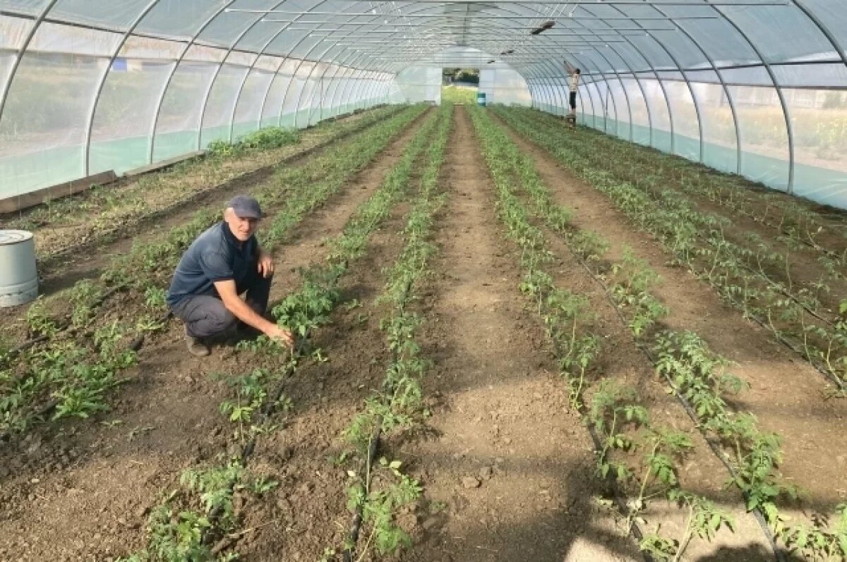    На финансирование псковских «Агростартапов» направлено 47 млн рублей