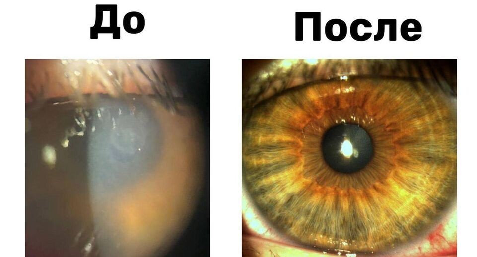    пресс-служба Детского клинического центра имени Л.М. Рошаля