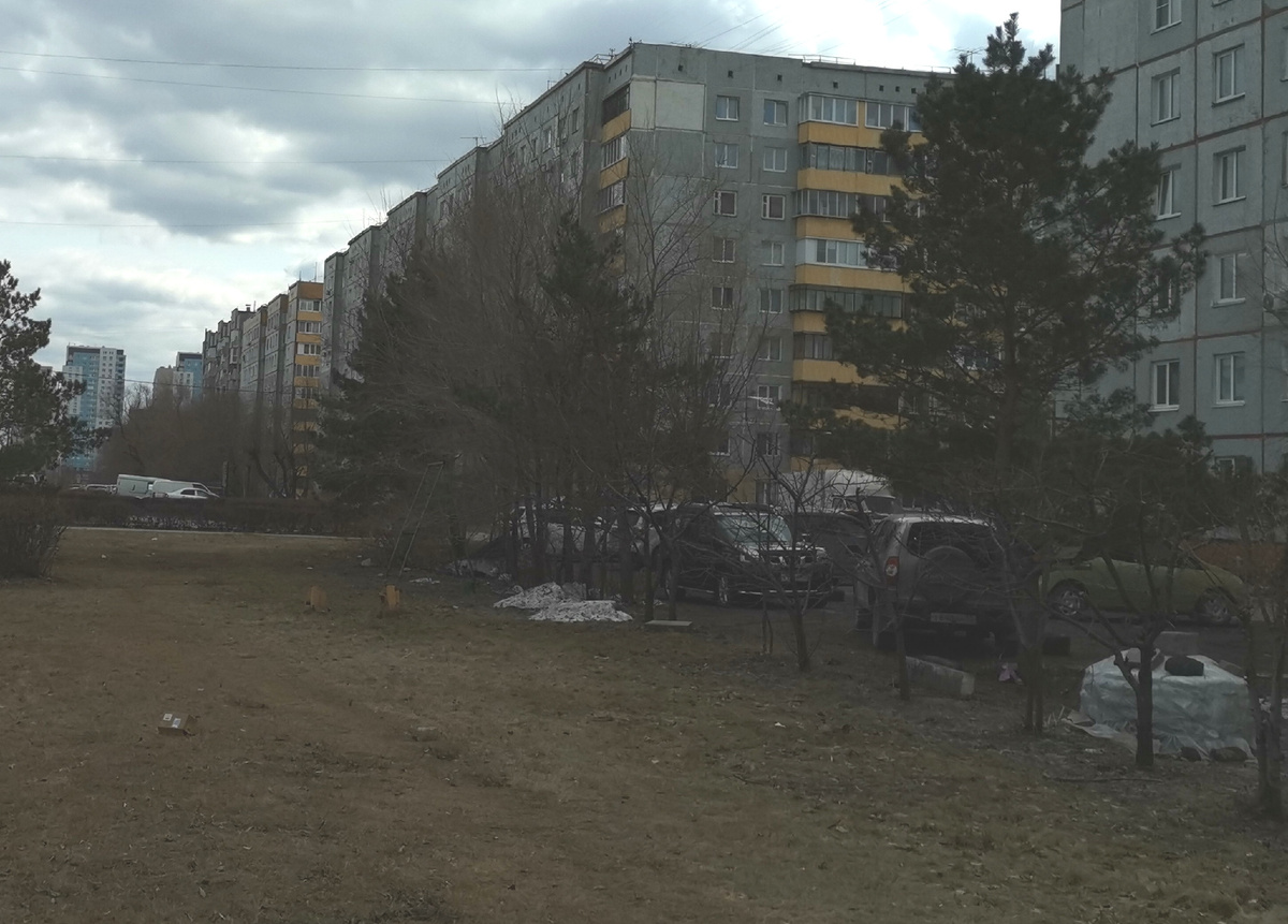 Фото 2025 год