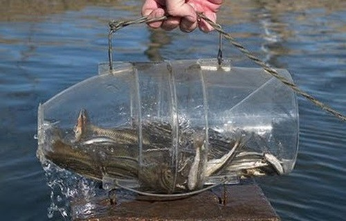 Фото с сайта: https://boatlab.pro/upload/medialibrary/5b2/9exoh1uiawh7qt1gzb7ay3r58p075kqr.jpg