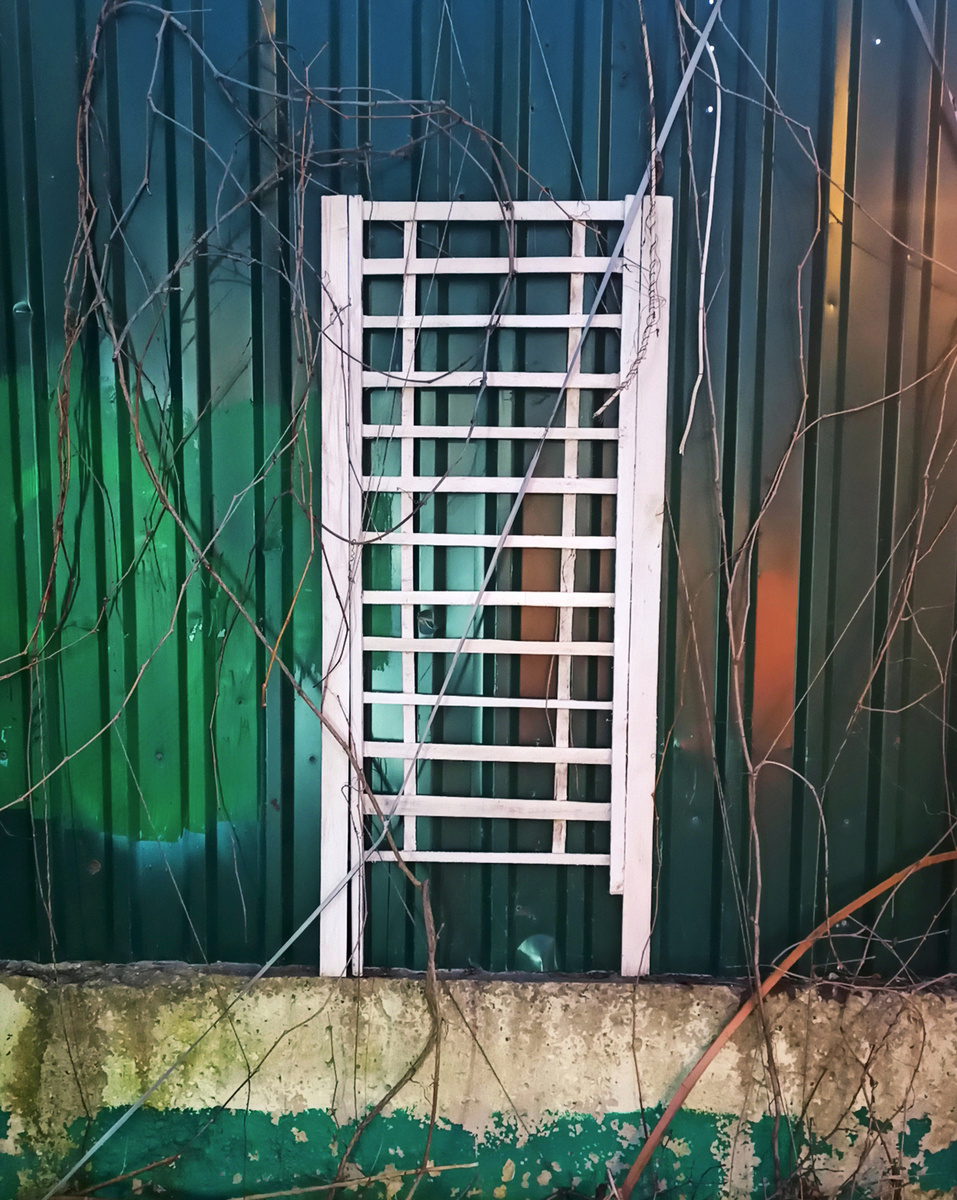 На улицах города