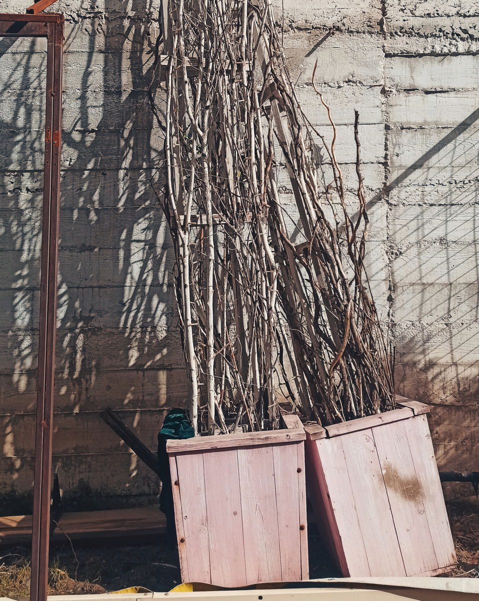 На улицах города