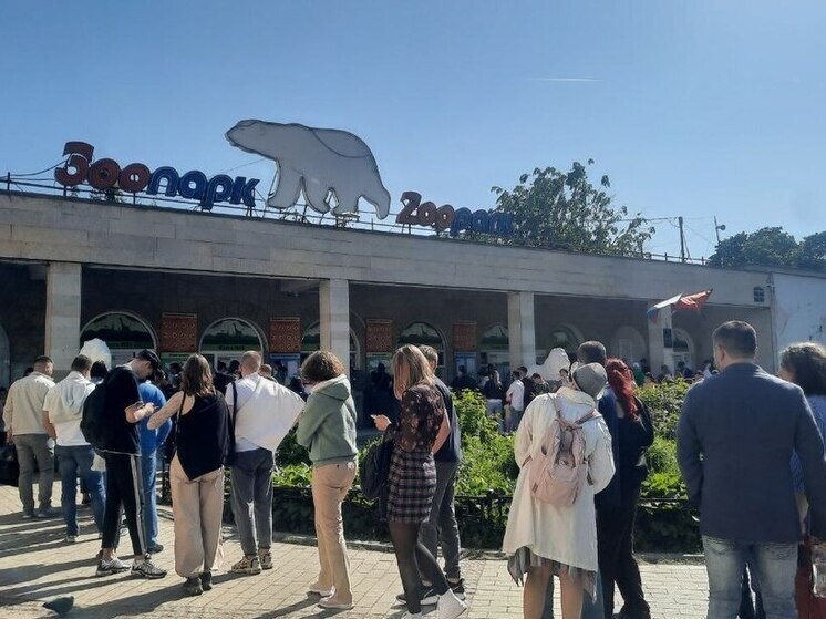     Фото: архив «МК в Питере»