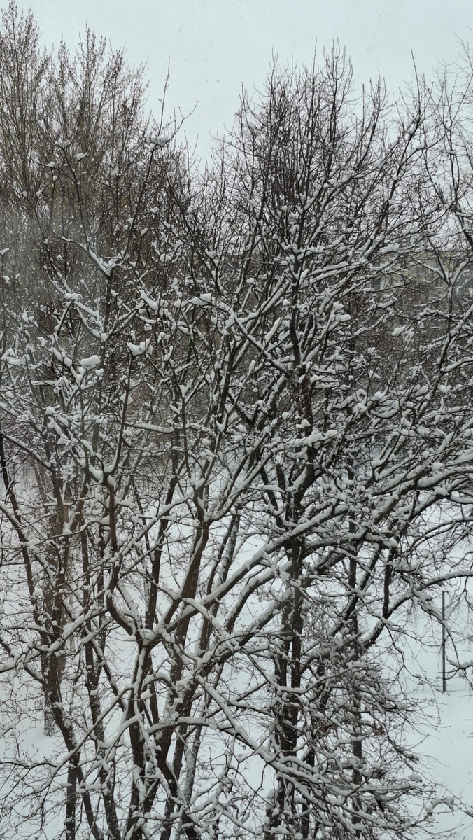 Вид из окна в Москве 9 апреля