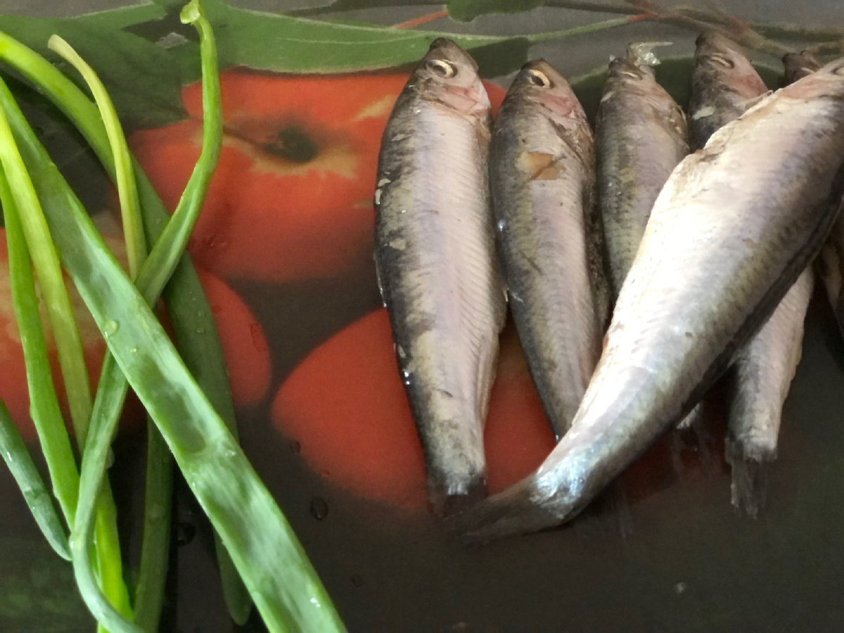 Хороша килька! Иллюстрации автора.