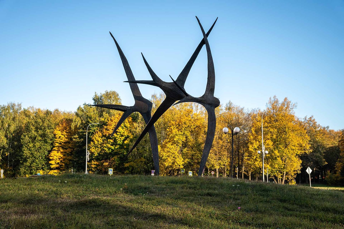 Листайте вправо, чтобы увидеть больше изображений