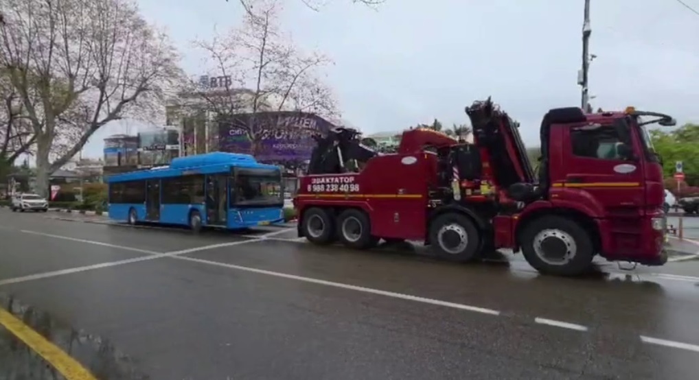 Фото: Telegram/Госавтоинспекция г. Сочи  📷
