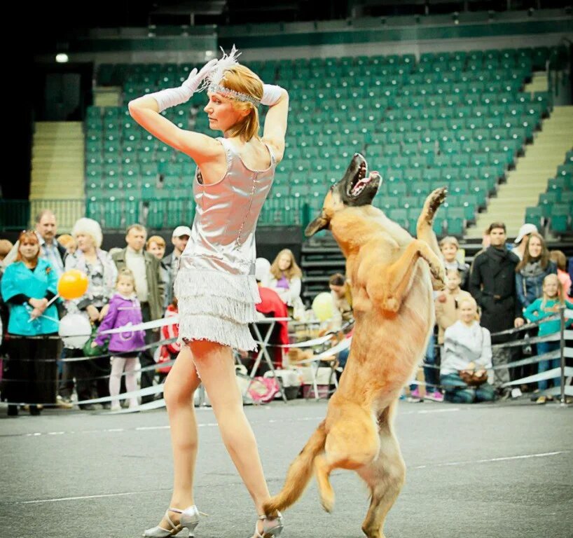 Источник: https://dogtraining.moscow/wp/freestyle/