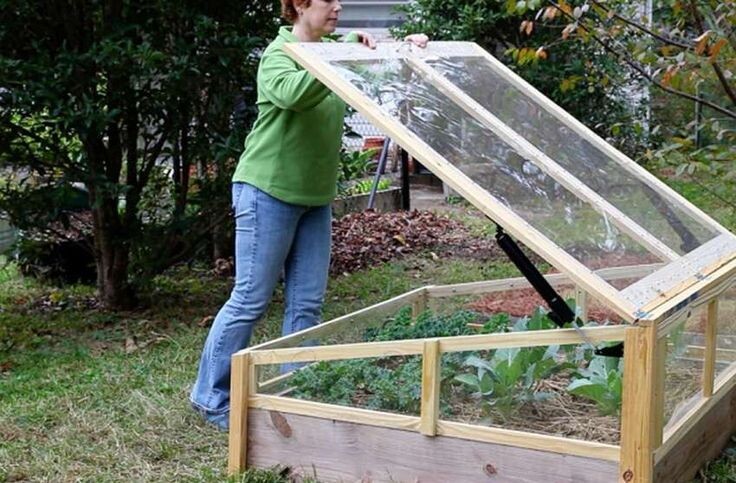Он меньше и проще теплицы, нужен для защиты растений от холода и создания теплого микроклимата