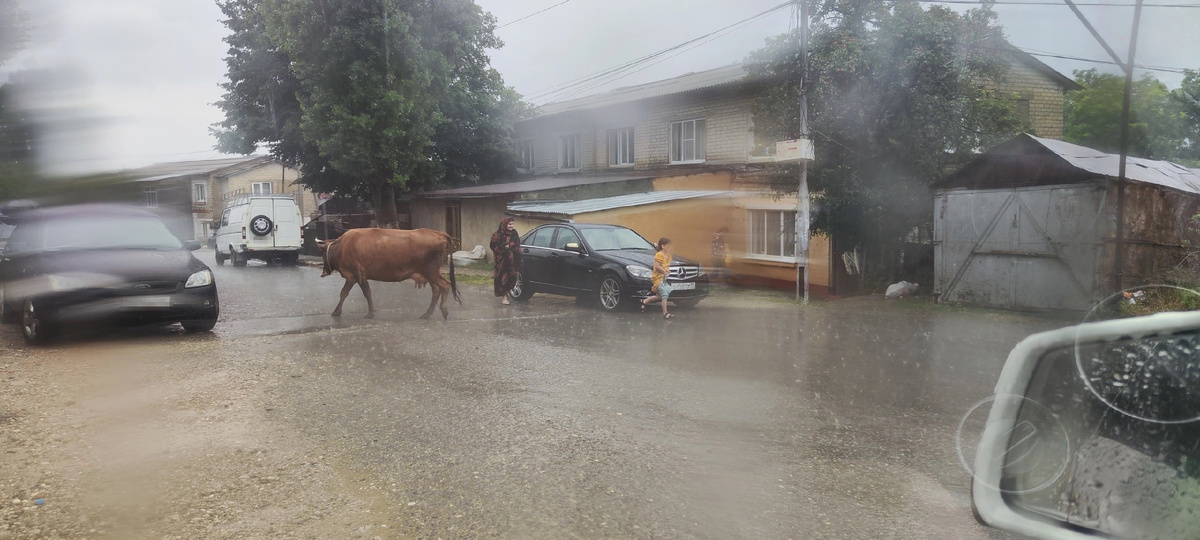 поселок Дубки