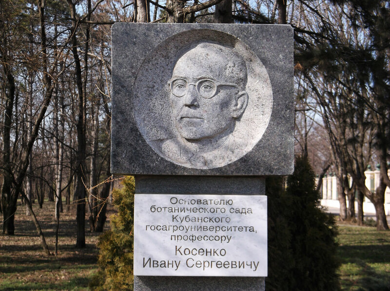 В 1977 дендрарию присвоено его имя, а в 2007 году на территории парка открыт памятник.
