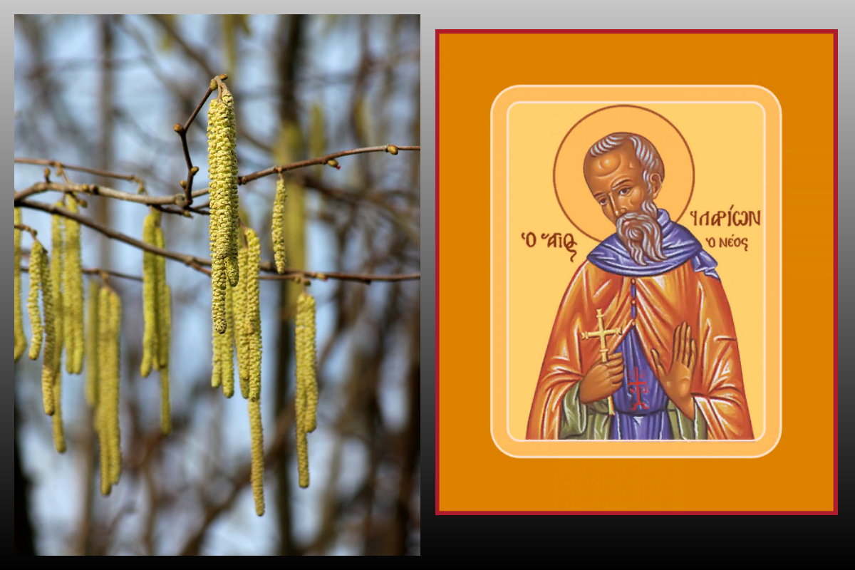 прп. Иларио́н Новый, игумен Пеликитский/azbuka.ru, Весна/pixabay.com 