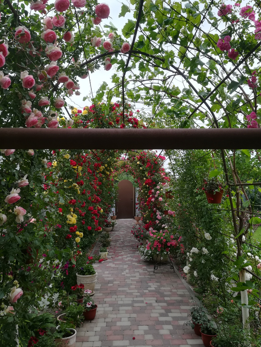 Запускайте Боярского! 