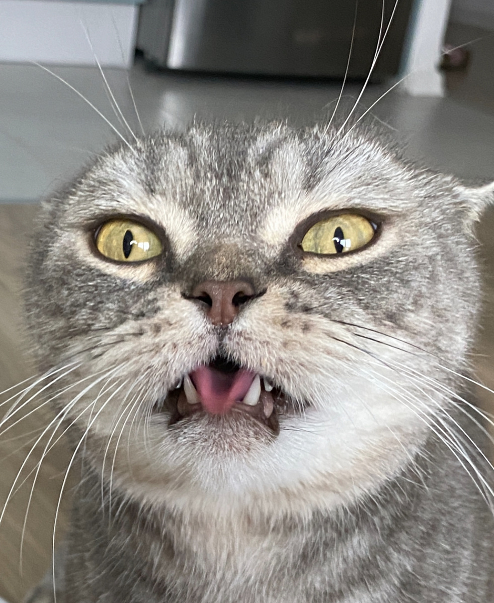 Гримаса, похожая на момент использования органа Якобсона