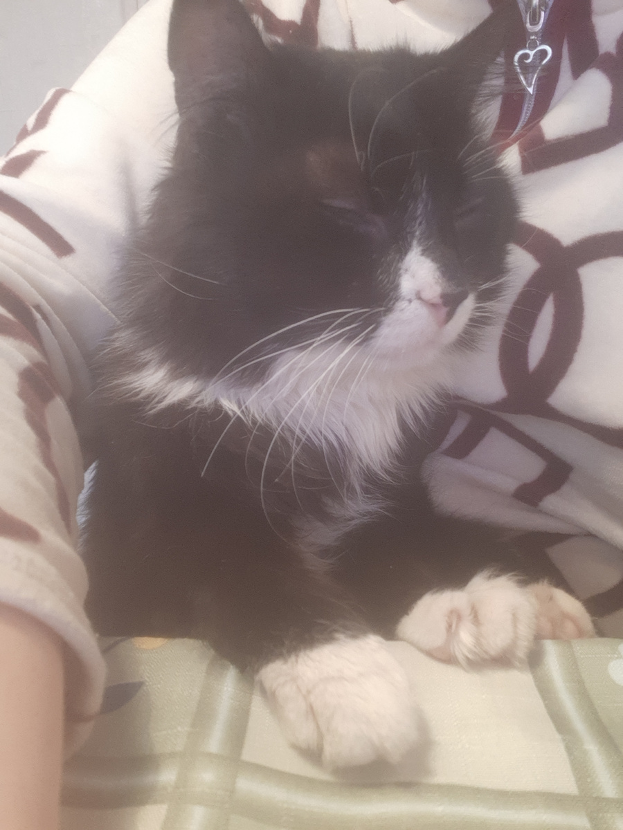 Буйный пациент, это вы снесли дверь?