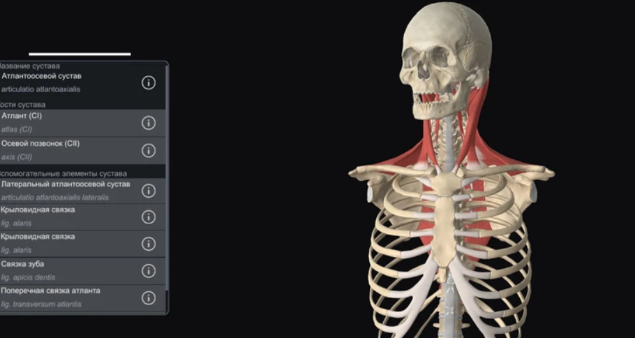    Фото: СамГМУ