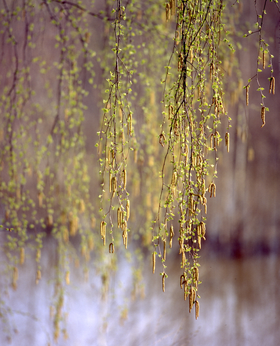 фото: Evgeniy Kanaev/Russian Look/Global Look Press