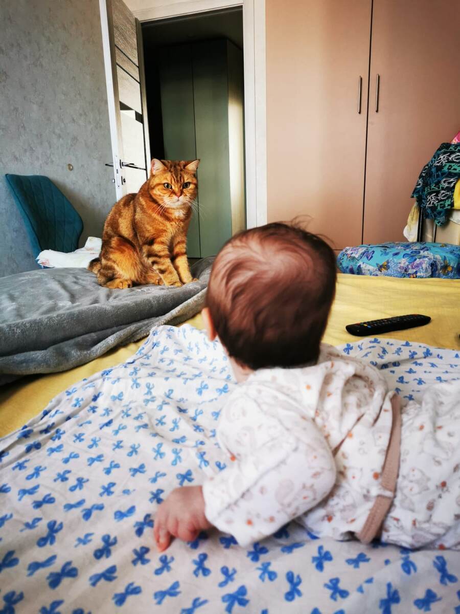 Персик с удивлением смотрит на Машу, которая держит головку.