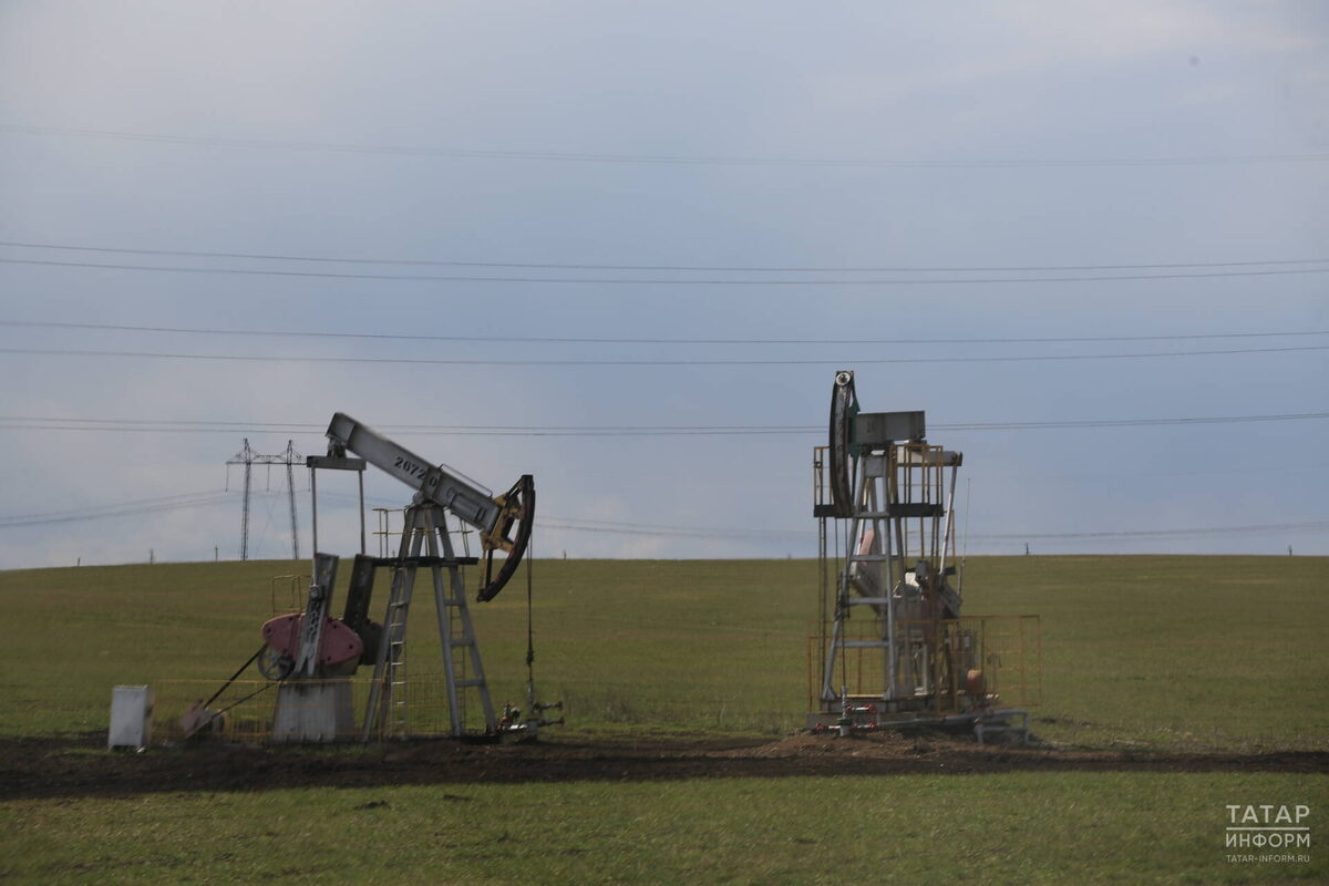Фото: © Рамиль Гали / «Татар-информ»