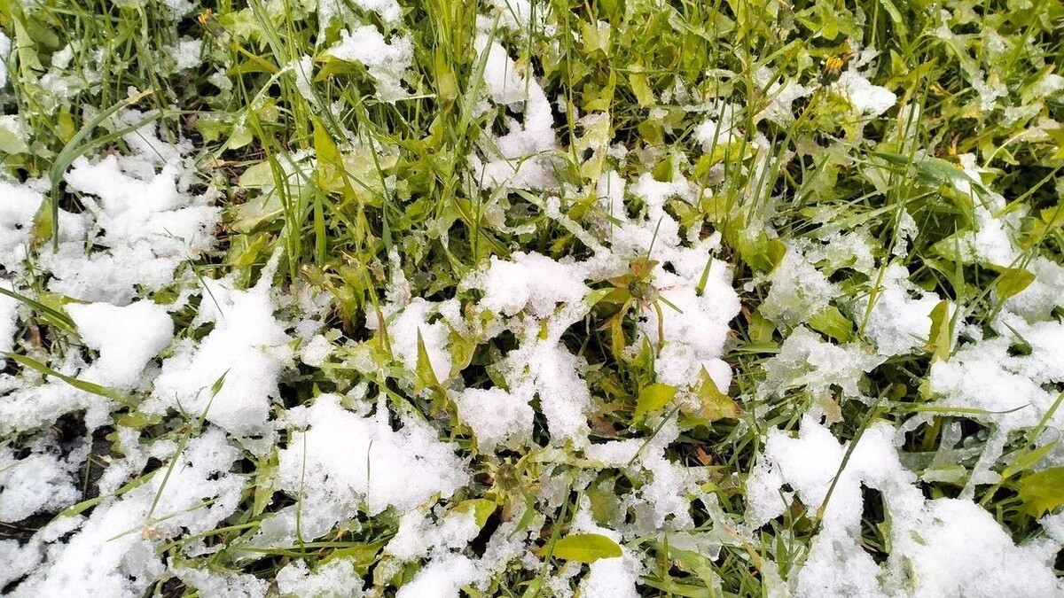     Источник: 56orb.ru