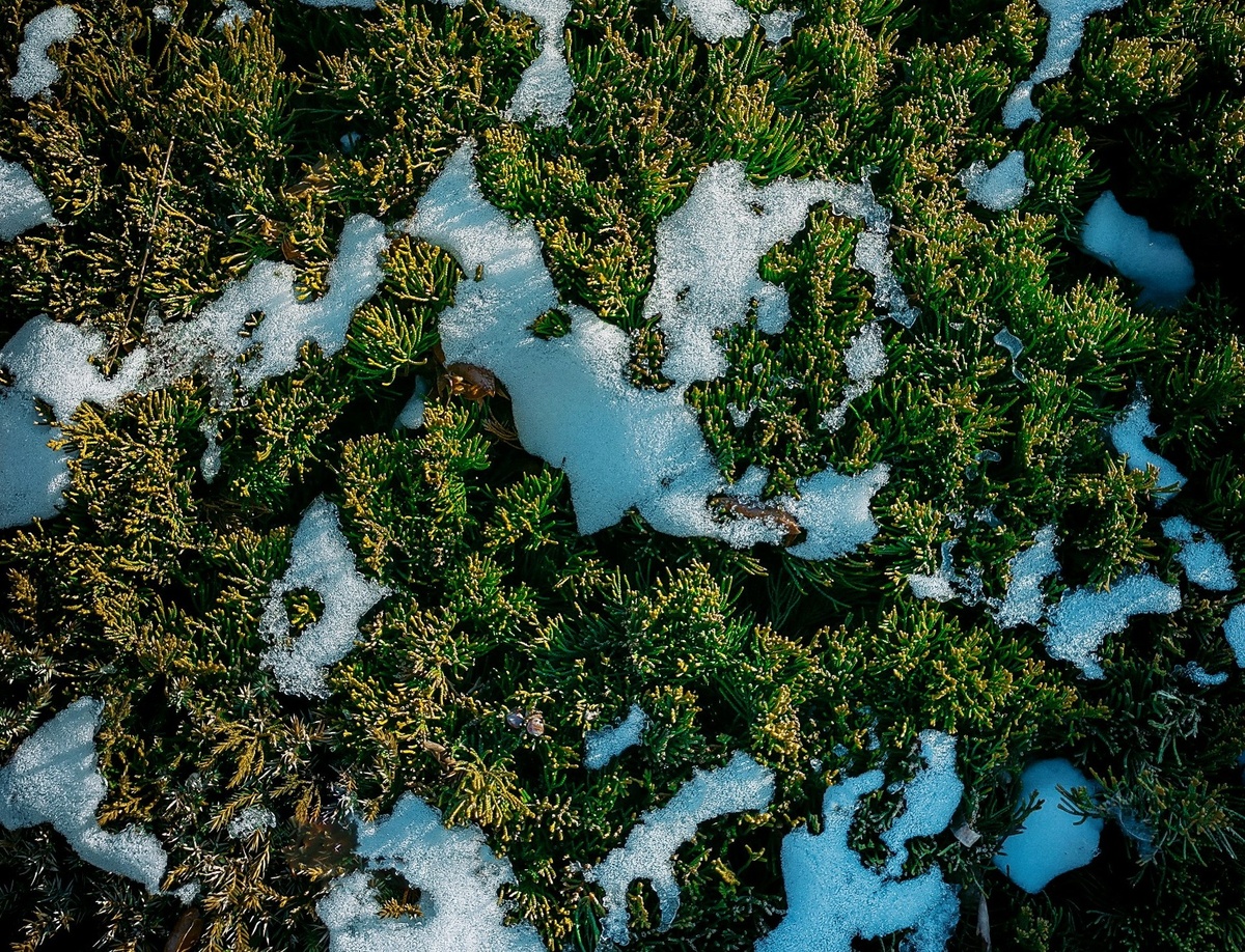 Unsplash