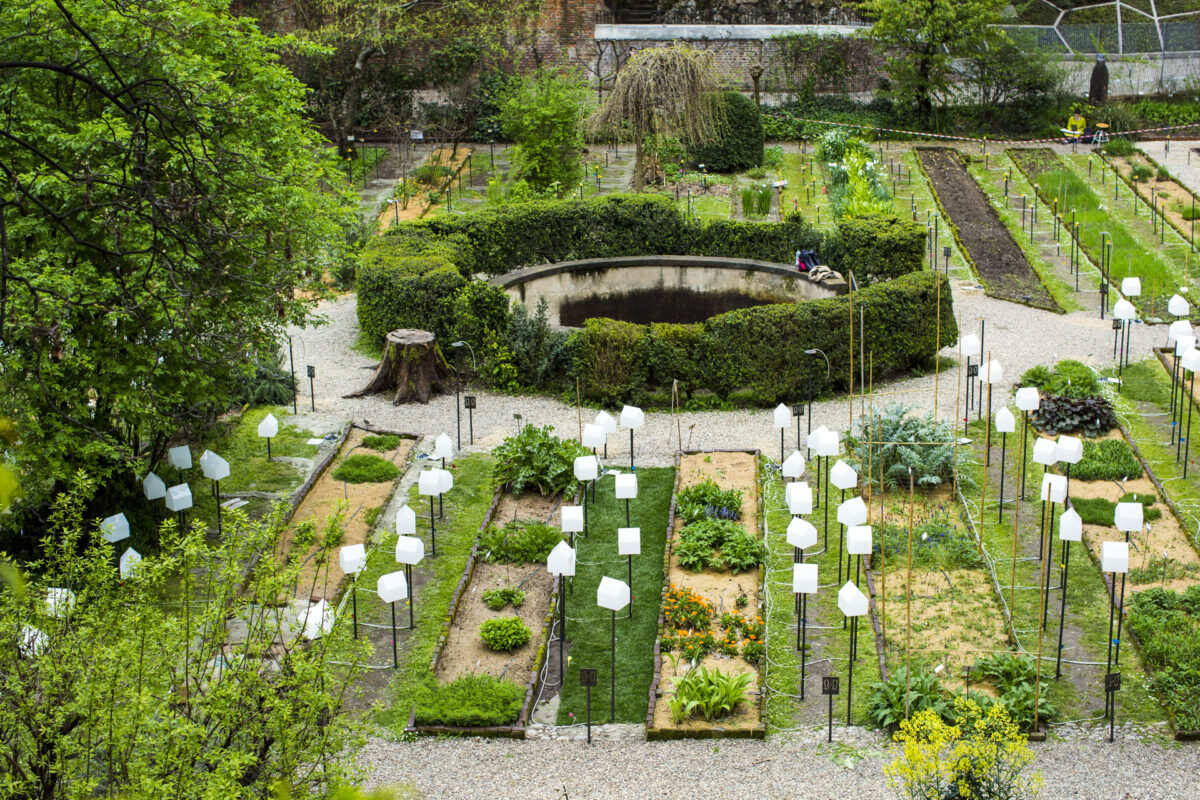 В саду постоянно высаживают новые растения