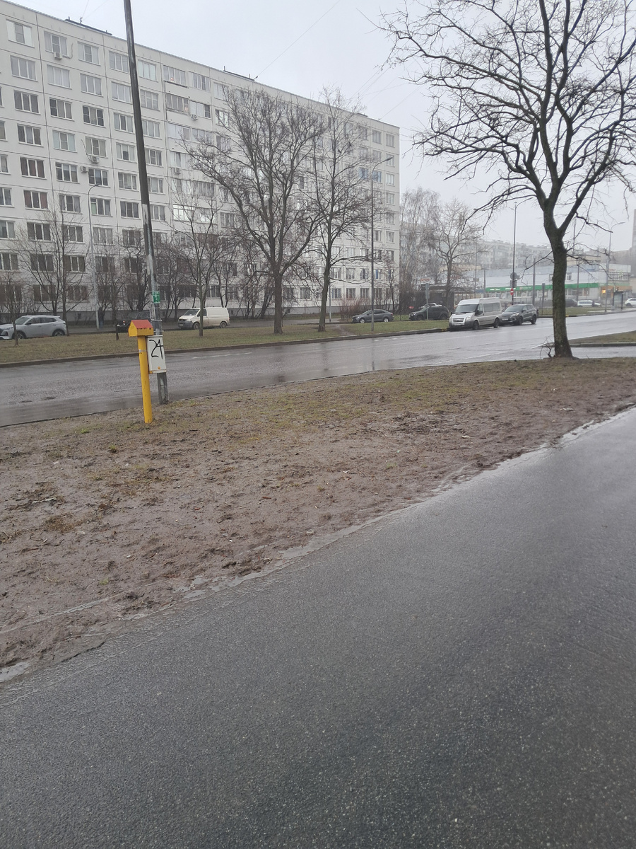 Там так мерзко. Фото автора 