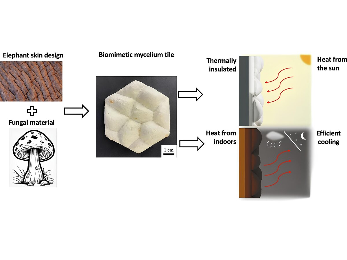 Фото: Наньянский технологический университет